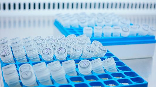 Скидка на криоперенос -10% только в апреле